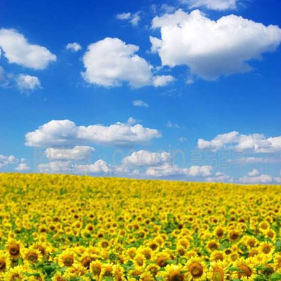 沉默是金（拒绝私聊）