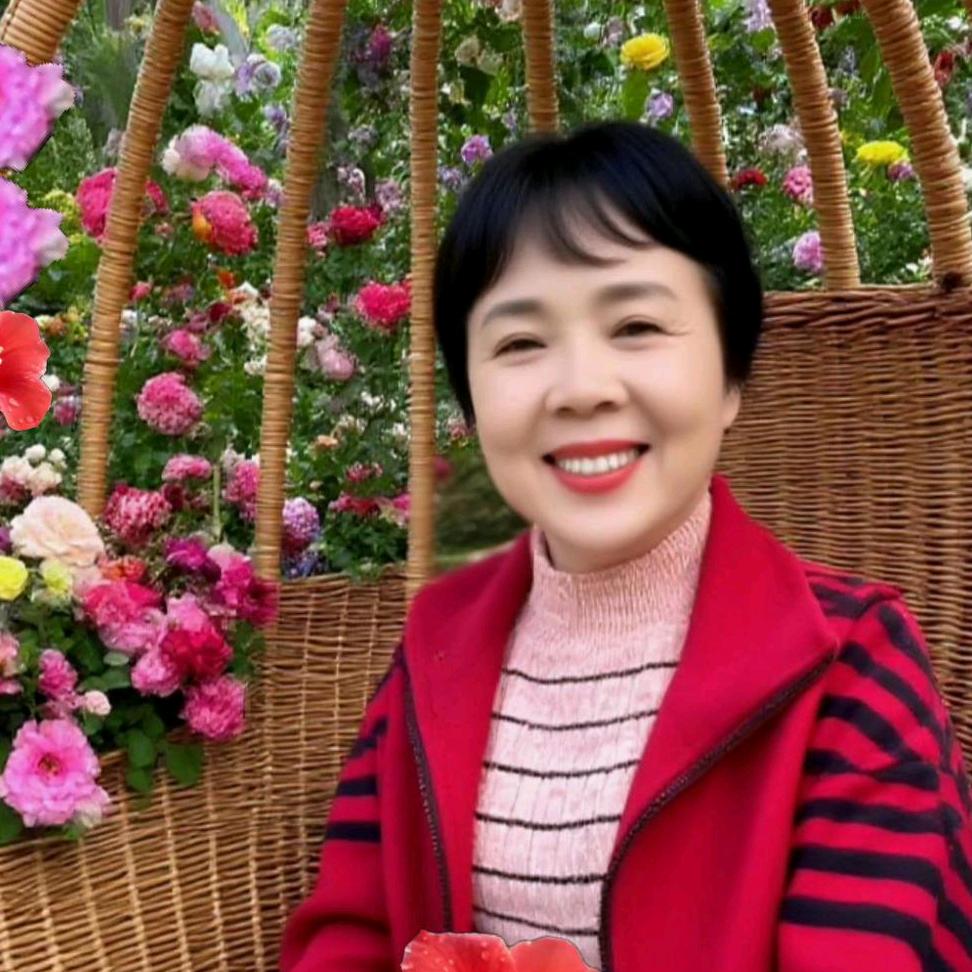洪兰