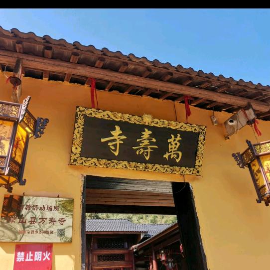 大师兄8