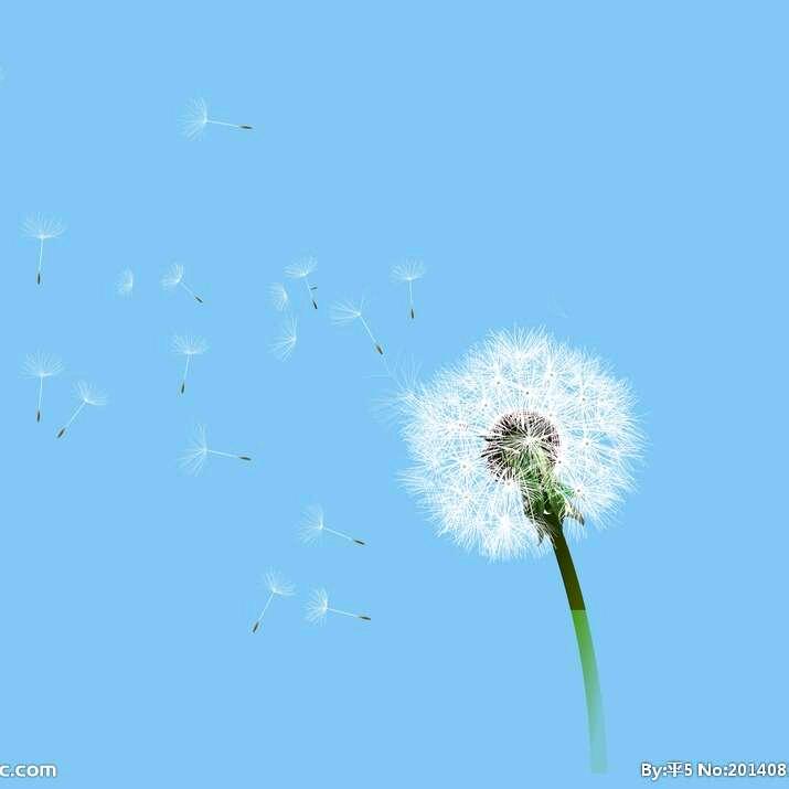 古琴小白—星星