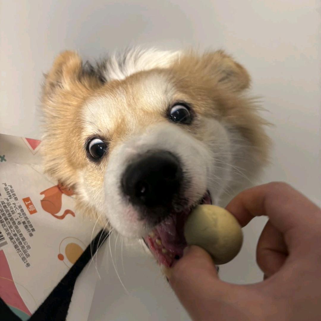 龙卷风旁有彩虹