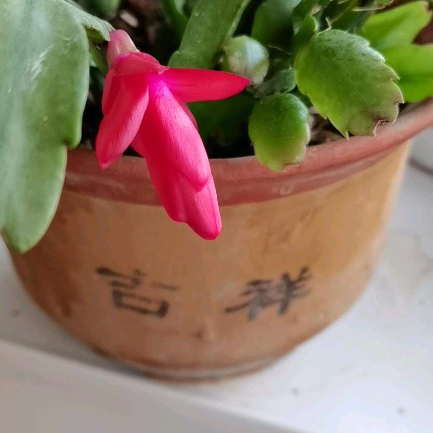 细雨蒙蒙