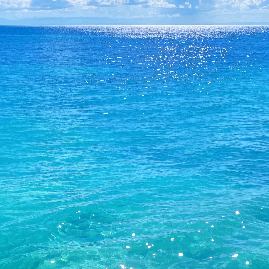 罗海歌