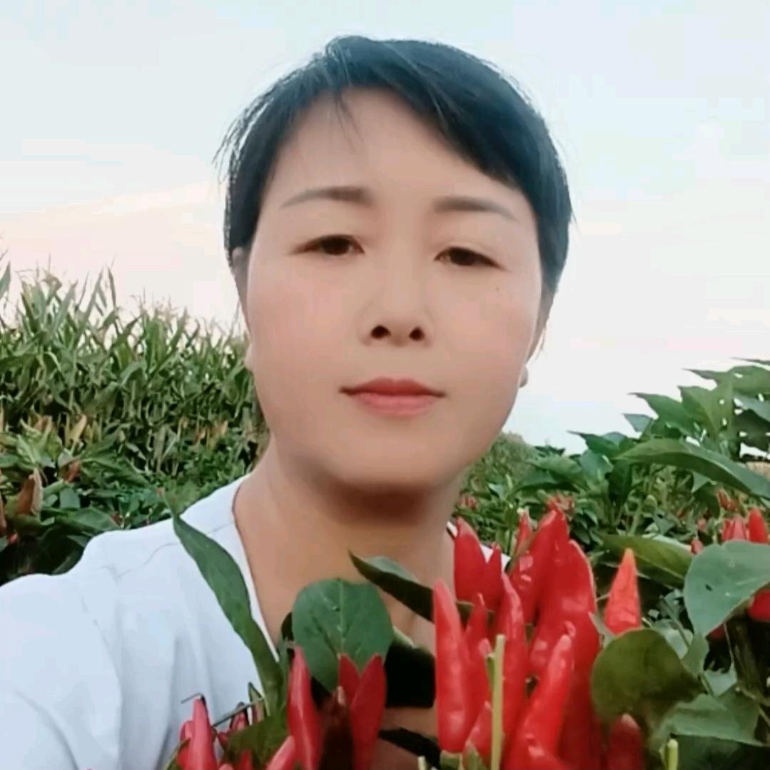 张桥白灵农资