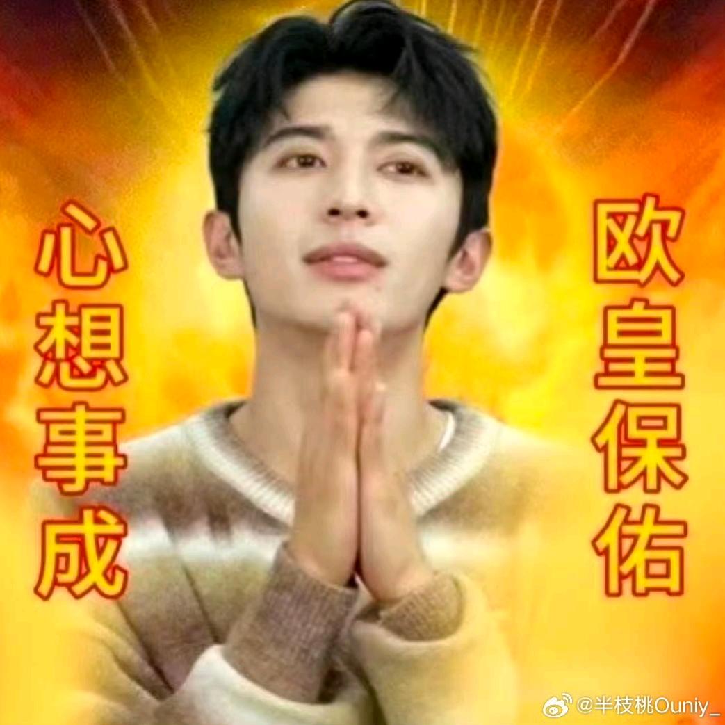 他们也来吃饲料吗🌾