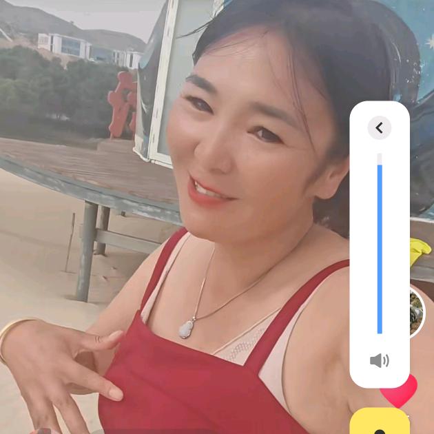 陈美仙l