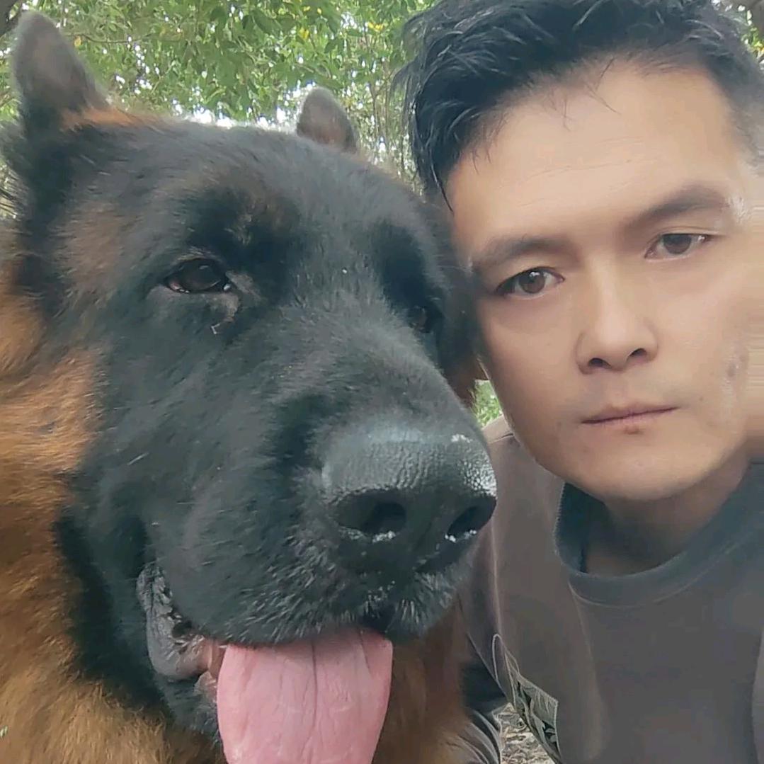 黑虎成长记《向家人》