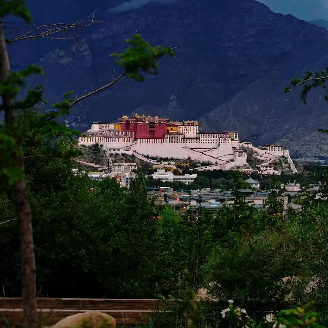 西藏根珍特产商行