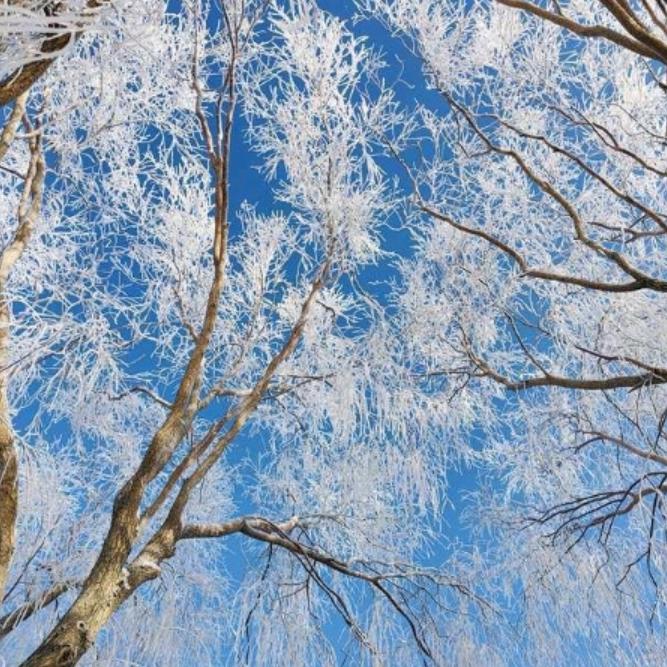 网红好物推荐官的头像