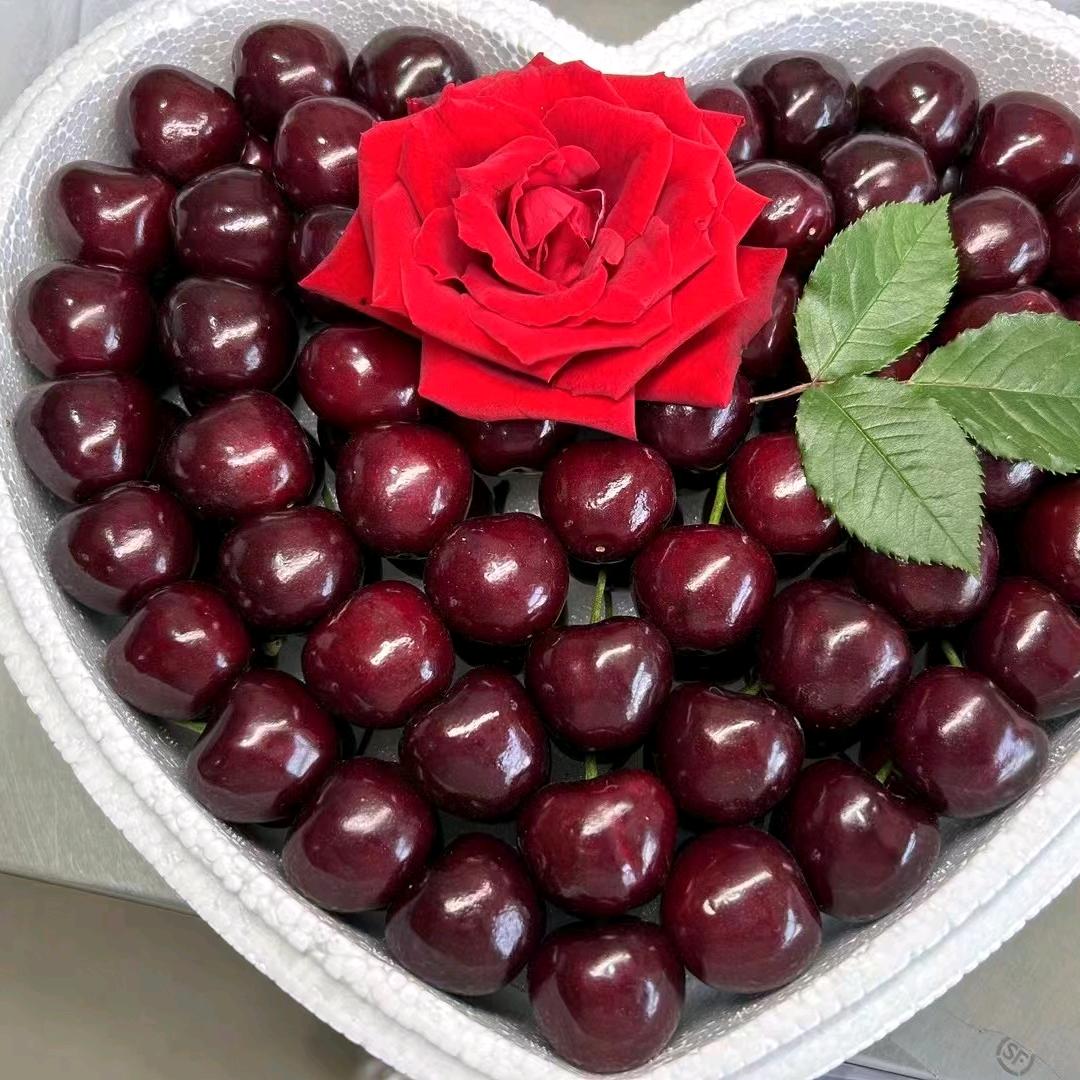 🍒樱桃王🍒