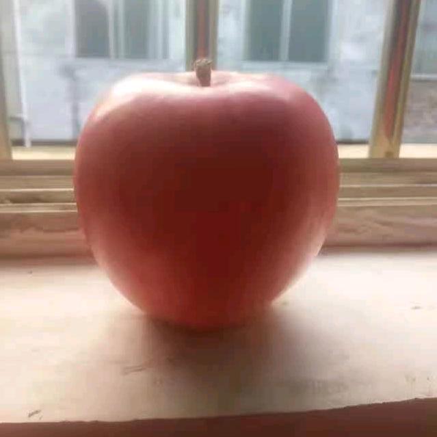 无缘的相遇