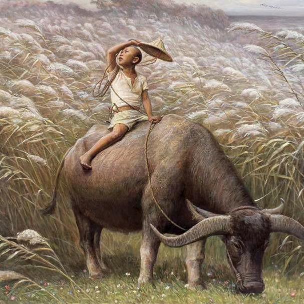 🇨🇳农村人🇨🇳