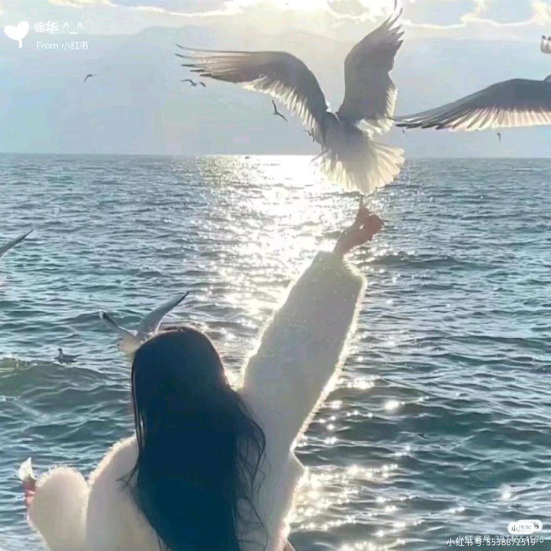 池棠小荷.（^～^）