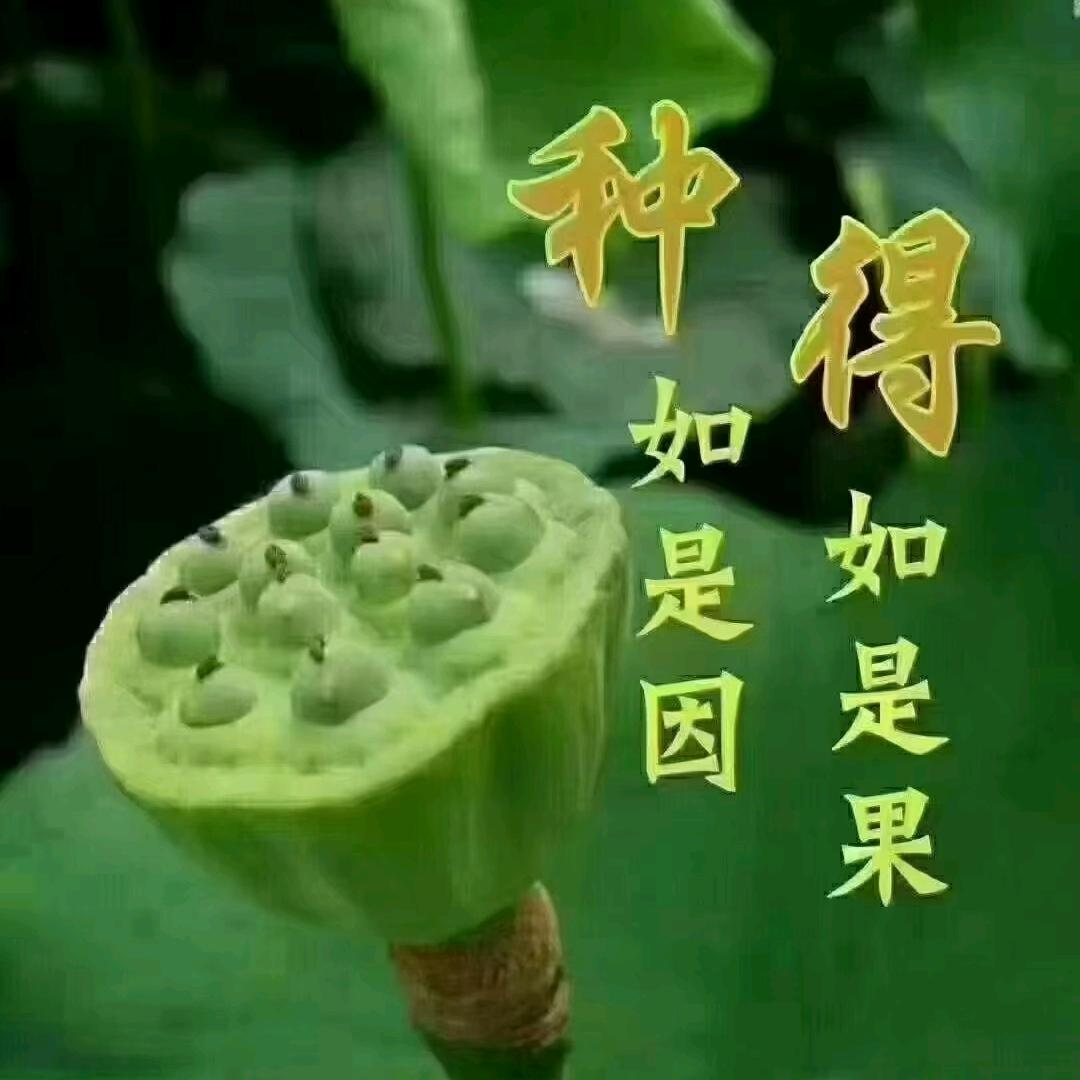 青龙镖局