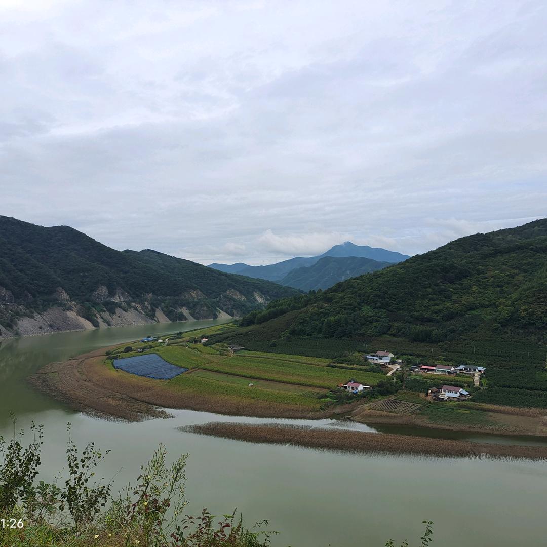 金吖