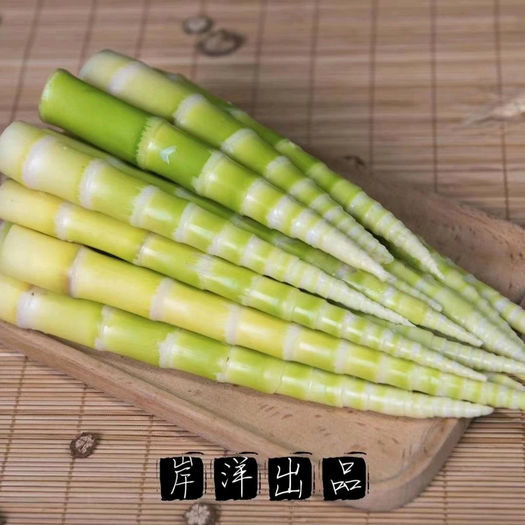 揭西峰岚种养专业合作社