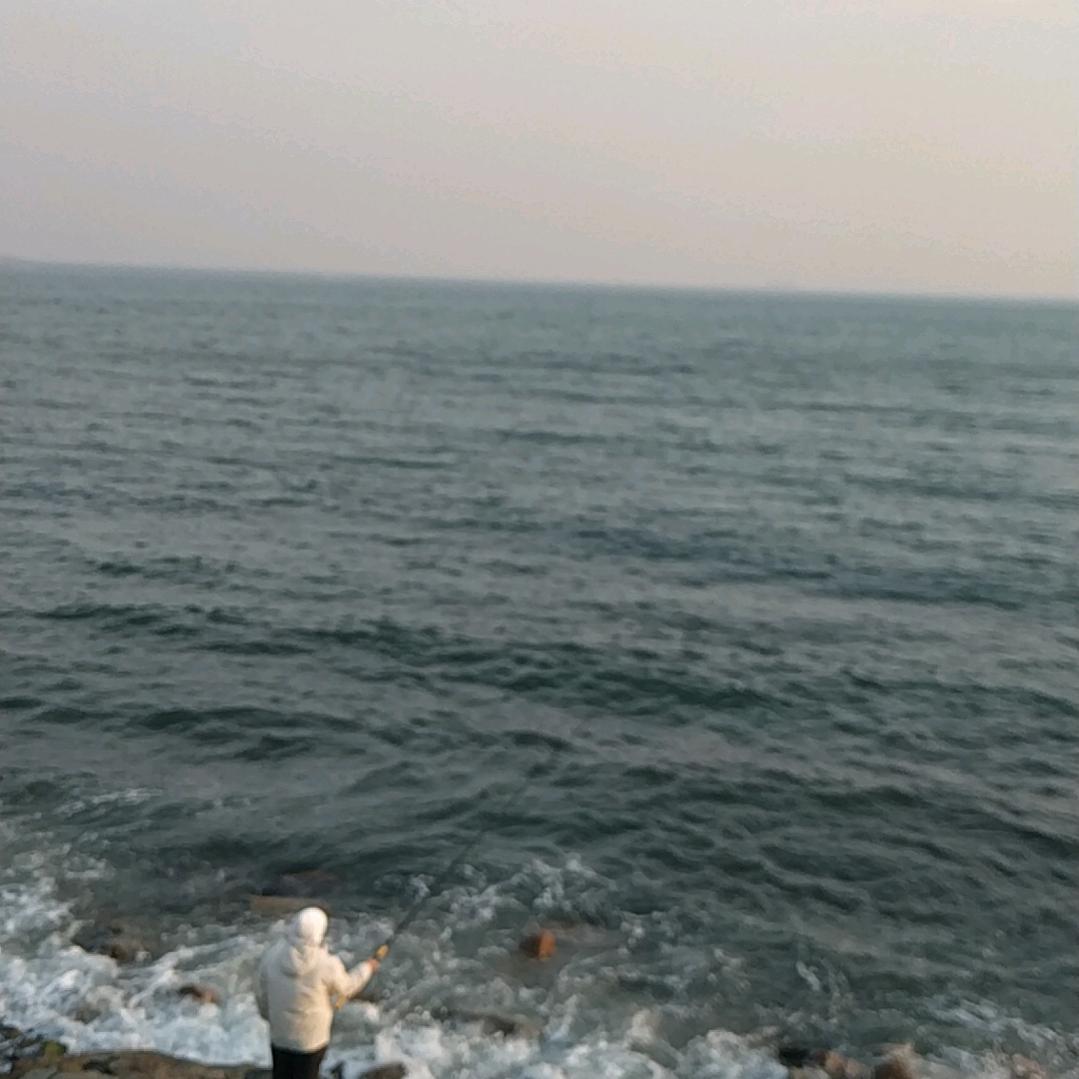 锦梅爱书法