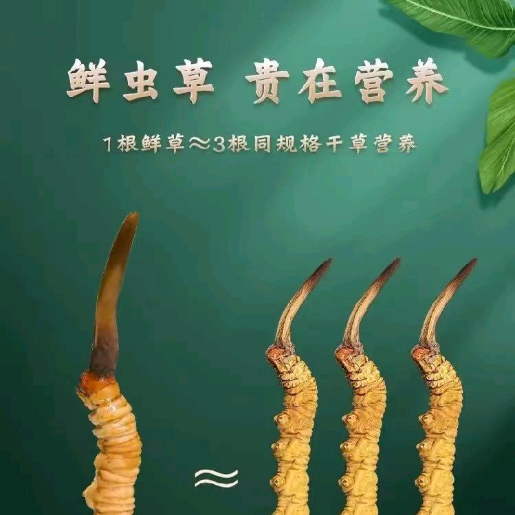 藏区  特产