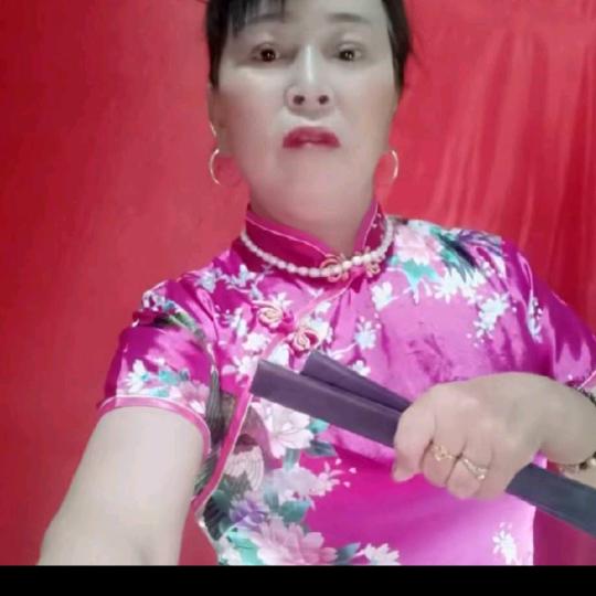 河南坠子王秀荣，，