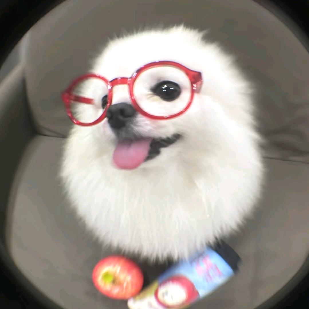 MAG大麦麦（关节养护专场）