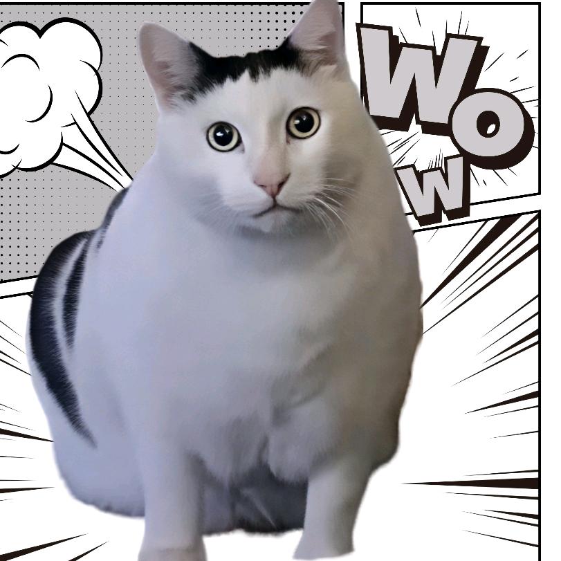 Meme影画