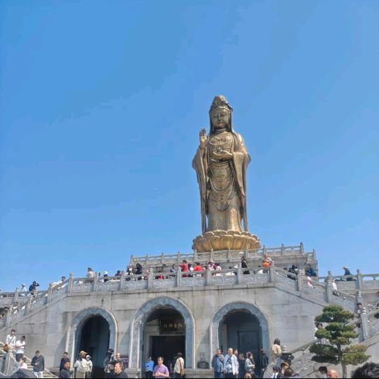 金陵龙哥628