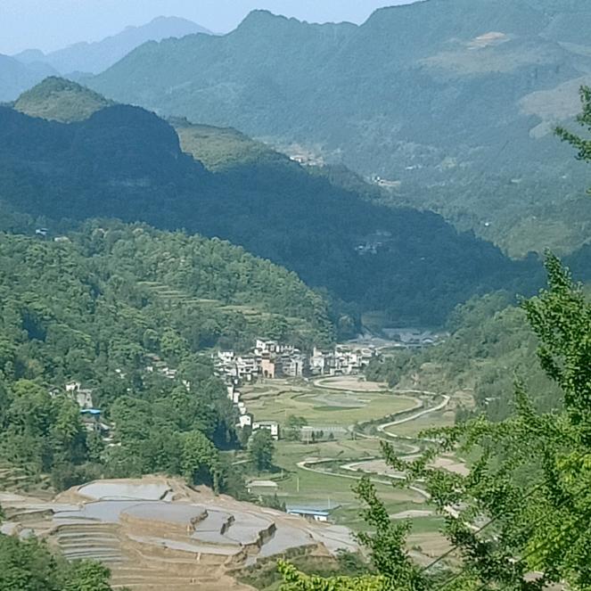 🇨🇳￥％｛财源不段｝￥％