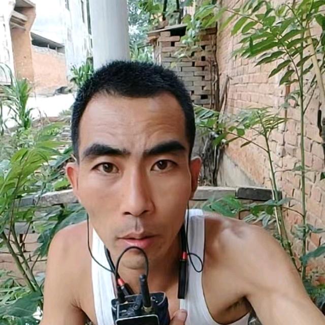 蛋蛋