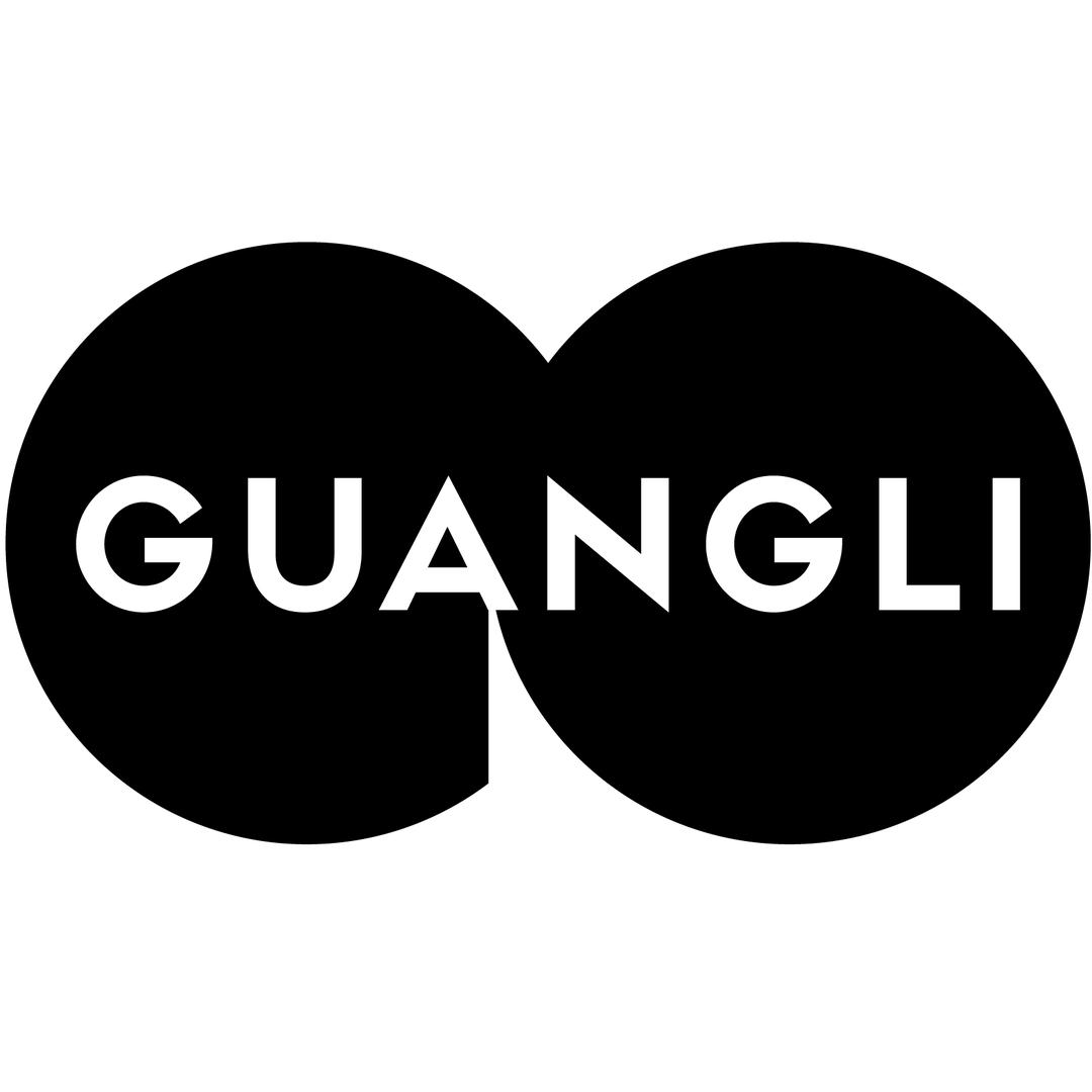 GUANGLI光粒专卖店