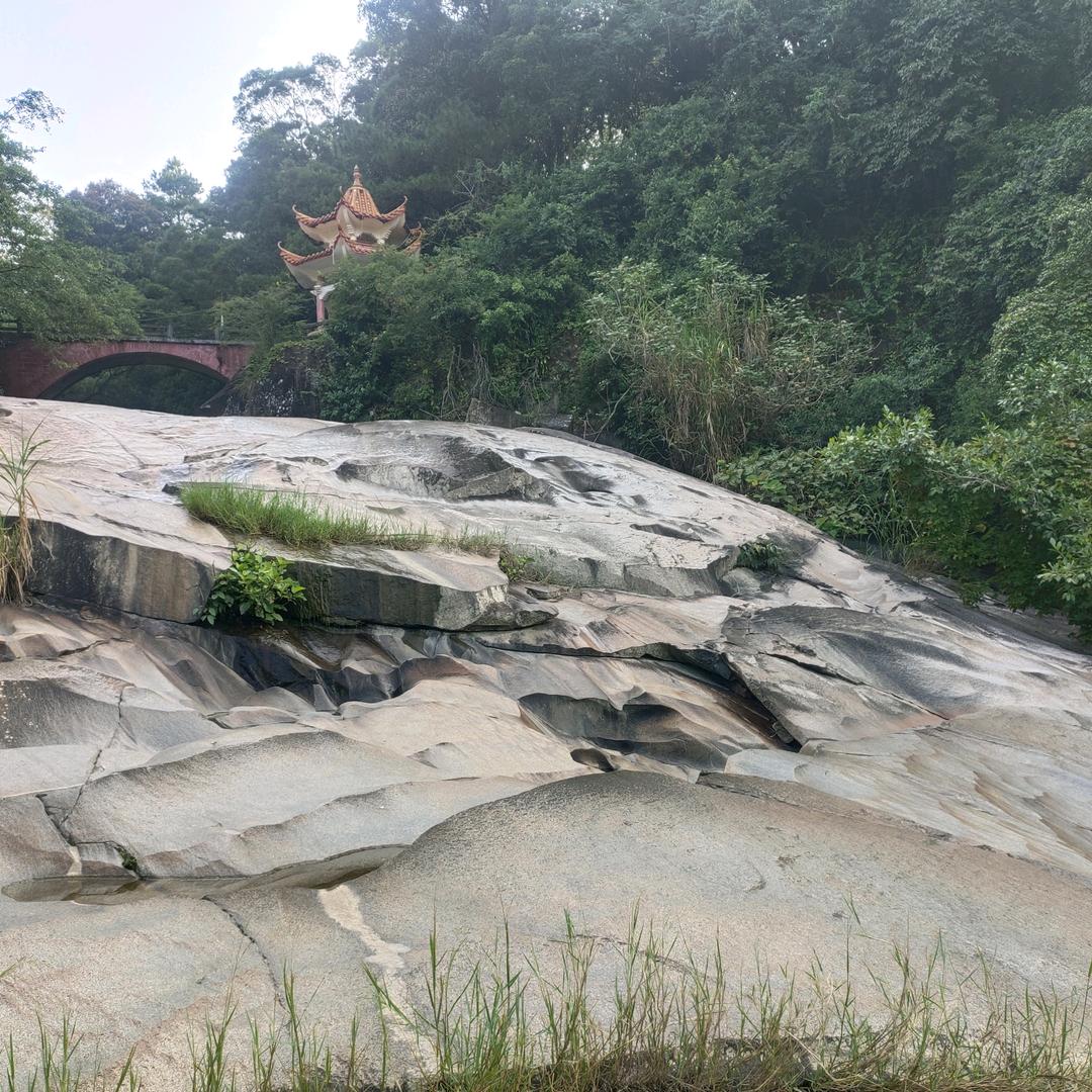 首汽现职司机（招募+领队带跑）