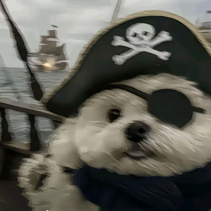 🥰-蒋洋大盗OvO🍊