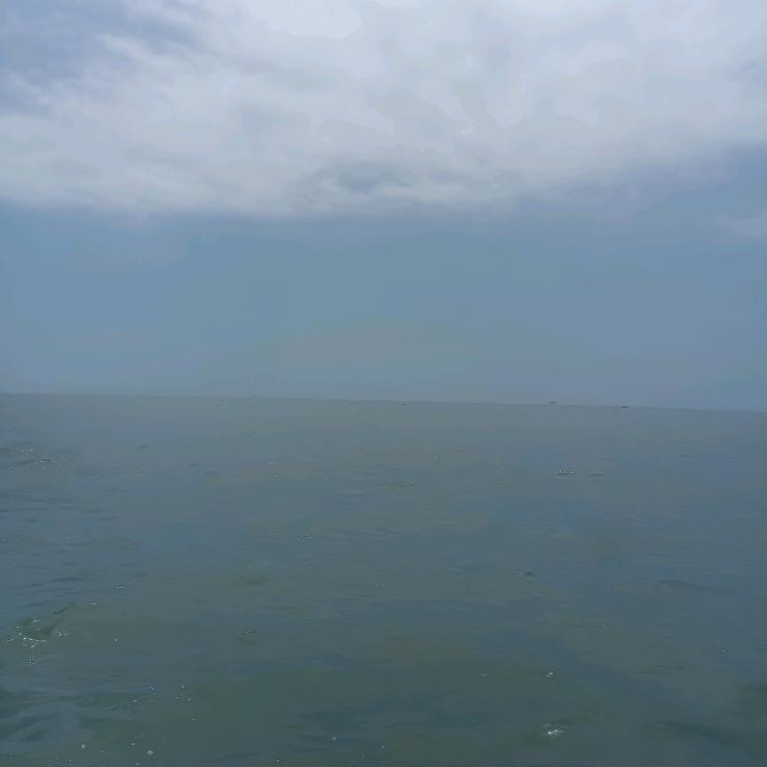索