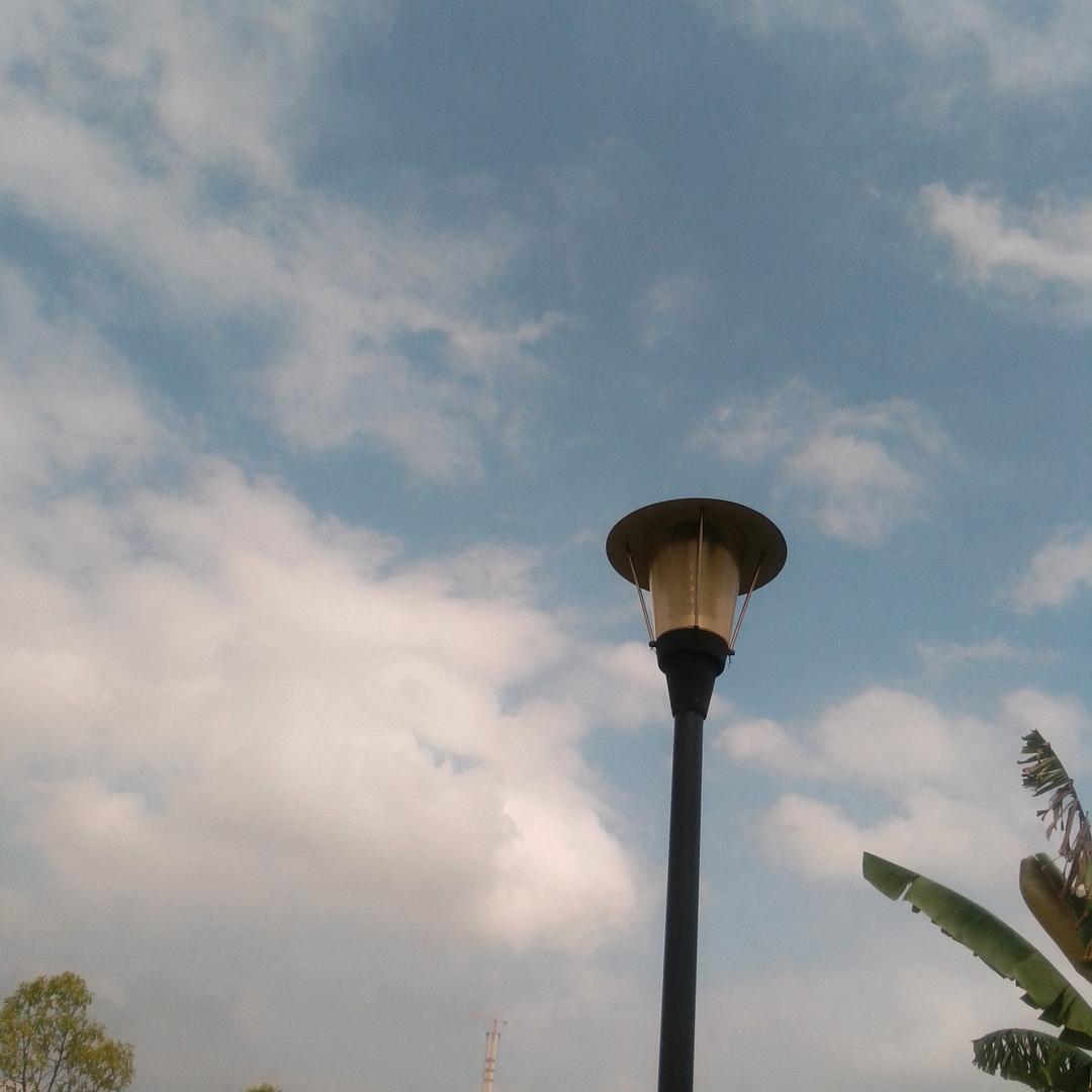 生命爱wo