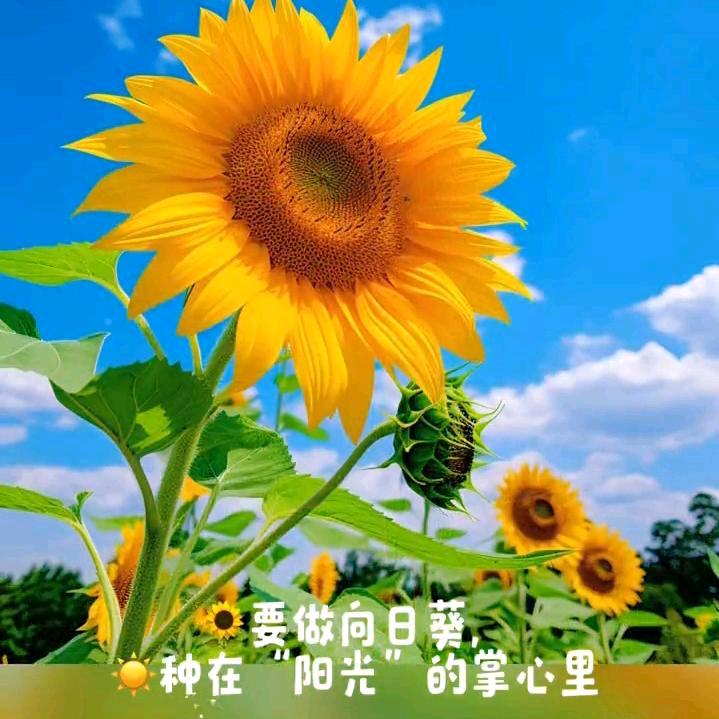 🍀好好爱自己🍎