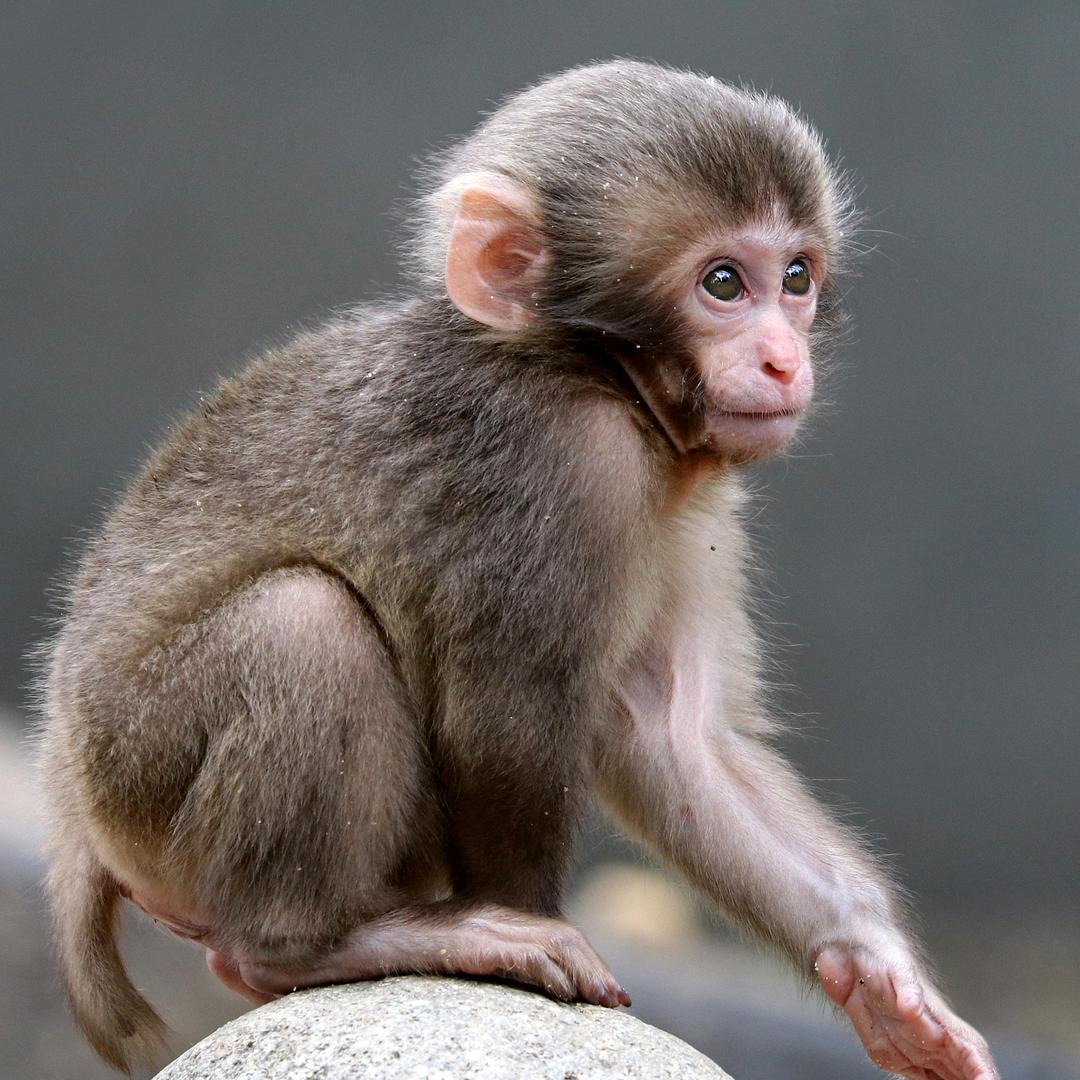 我能坚持33分钟