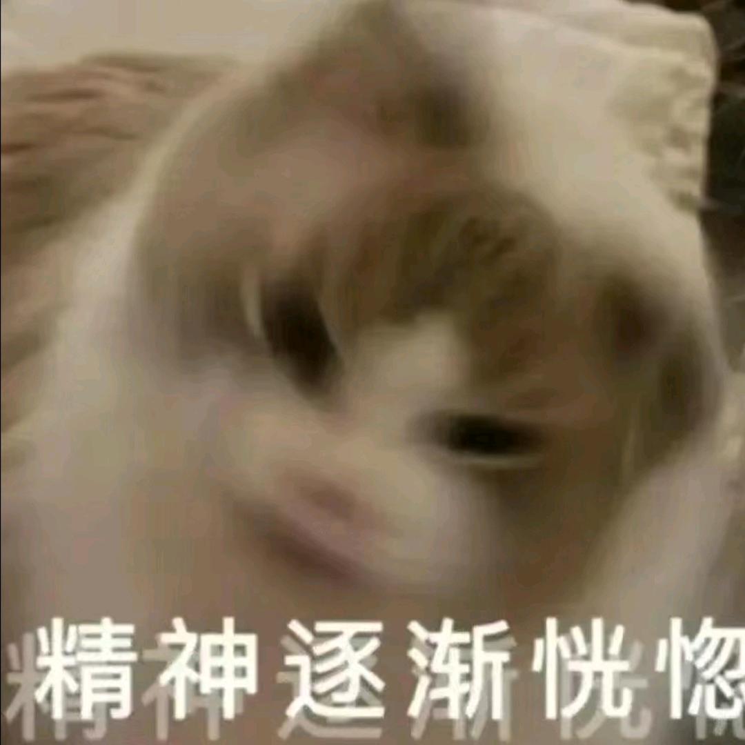 爱吃薯条警长(骑摩迪卡版)