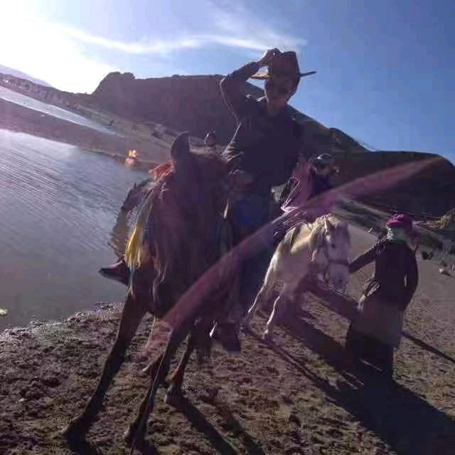 好又多原生丛生朴树