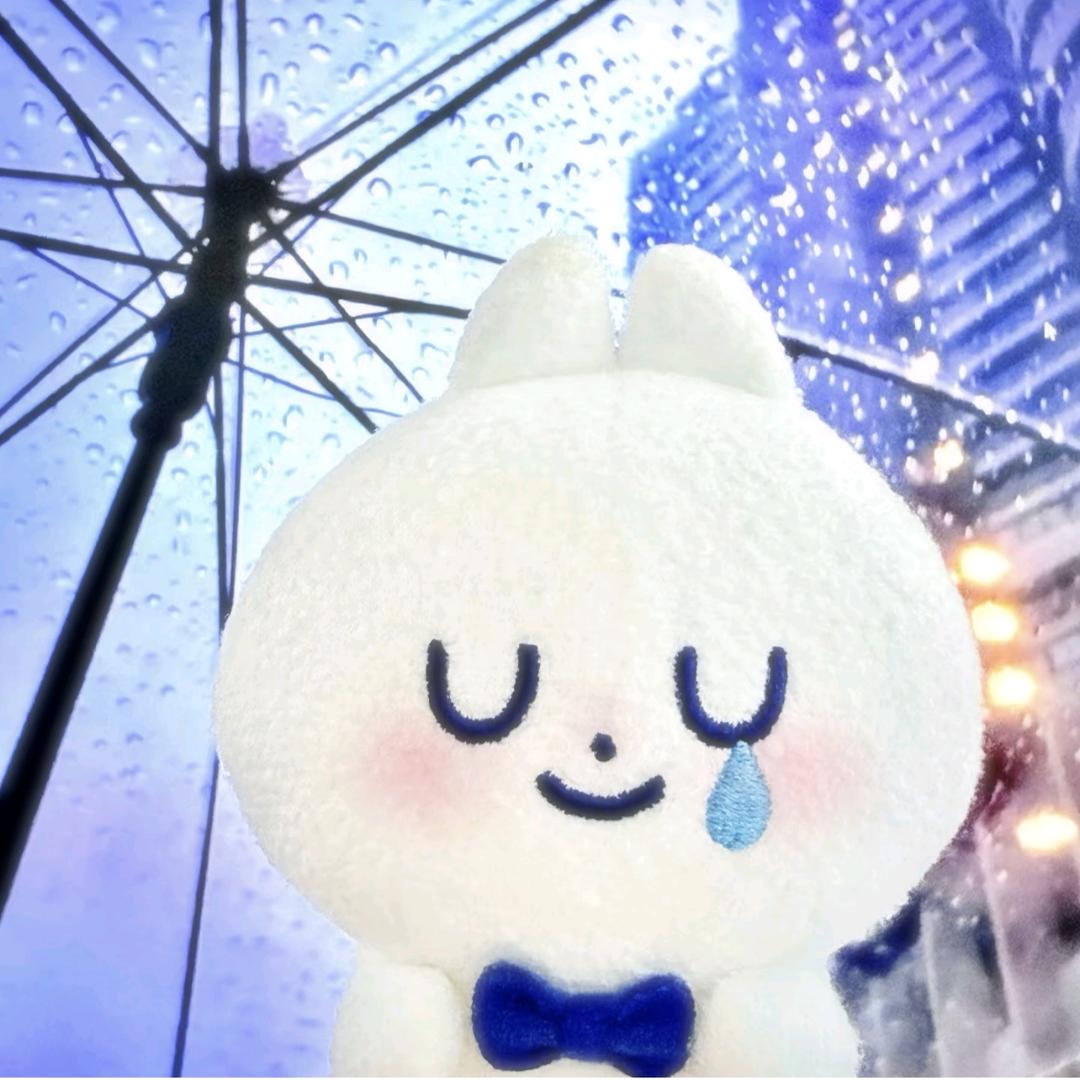 苹果大王