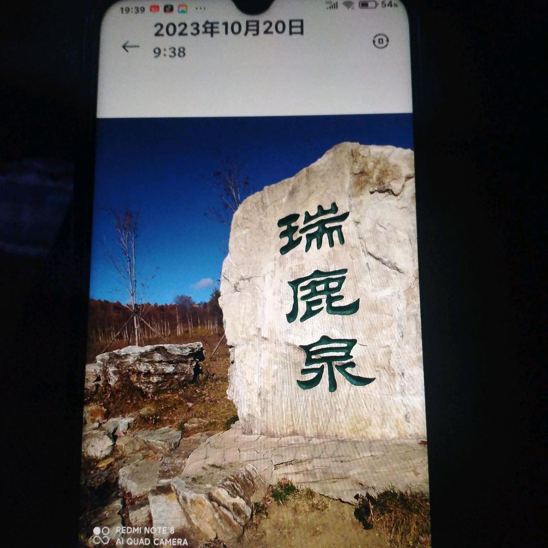 夏东