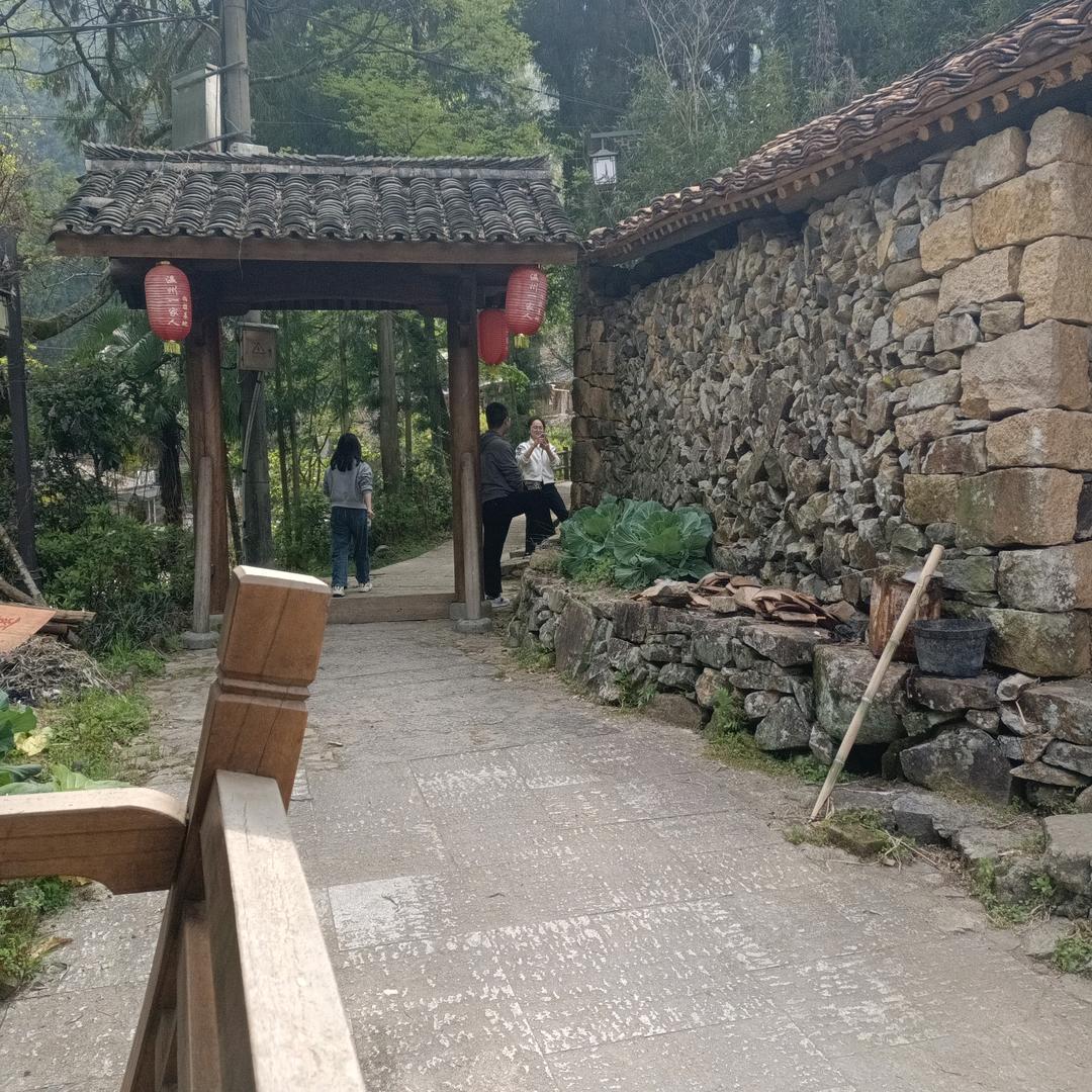 土龙