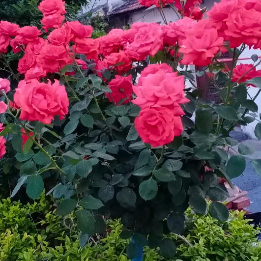 似懂非懂