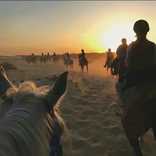 ╭(˵¯͒〰¯͒˵╮