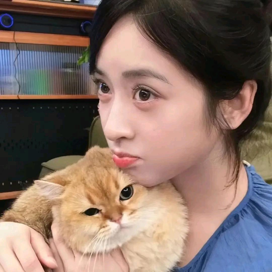 星沉月落乌啼