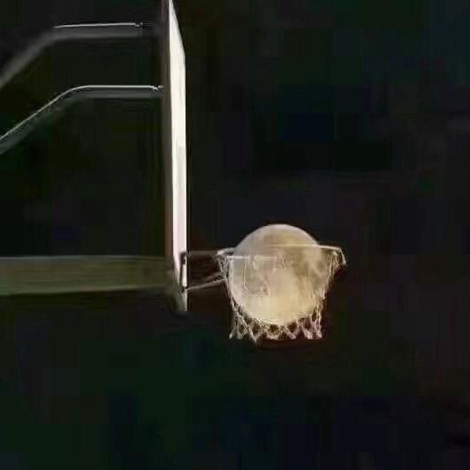 浪虎