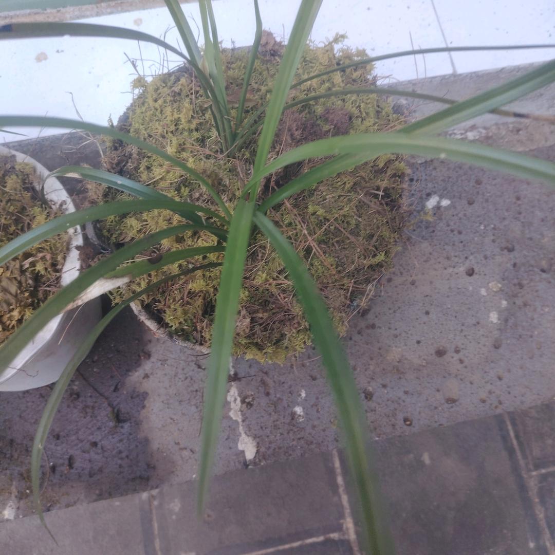 忘掉过去 重新开始