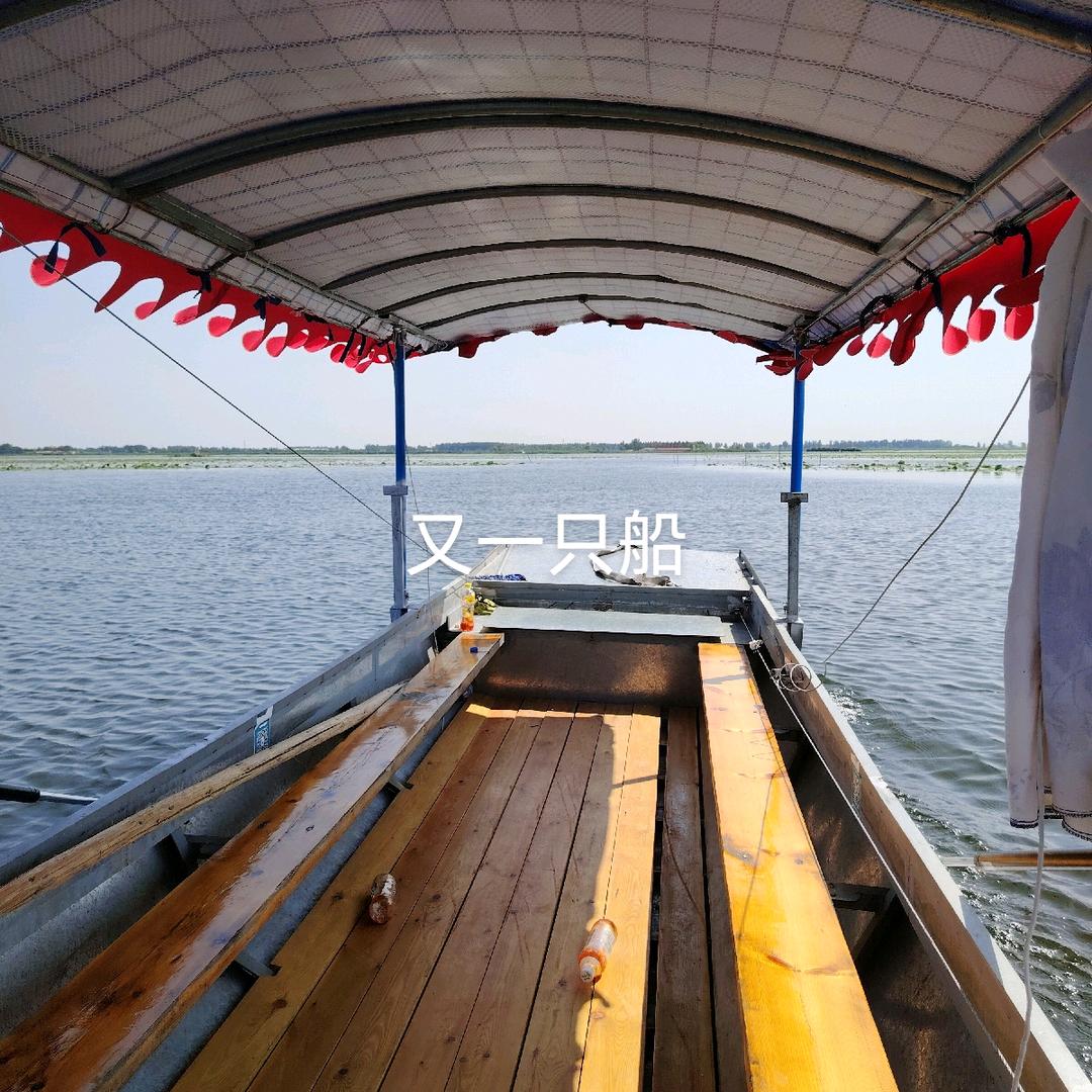 719白洋淀