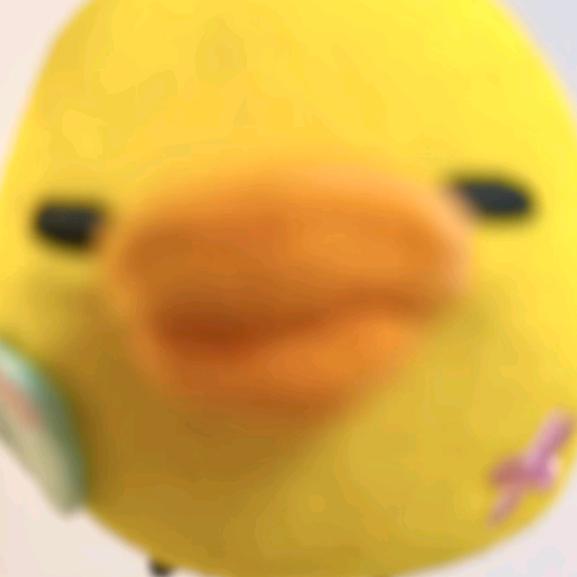 南西