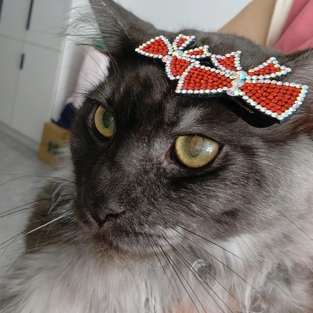 与美好不期而遇