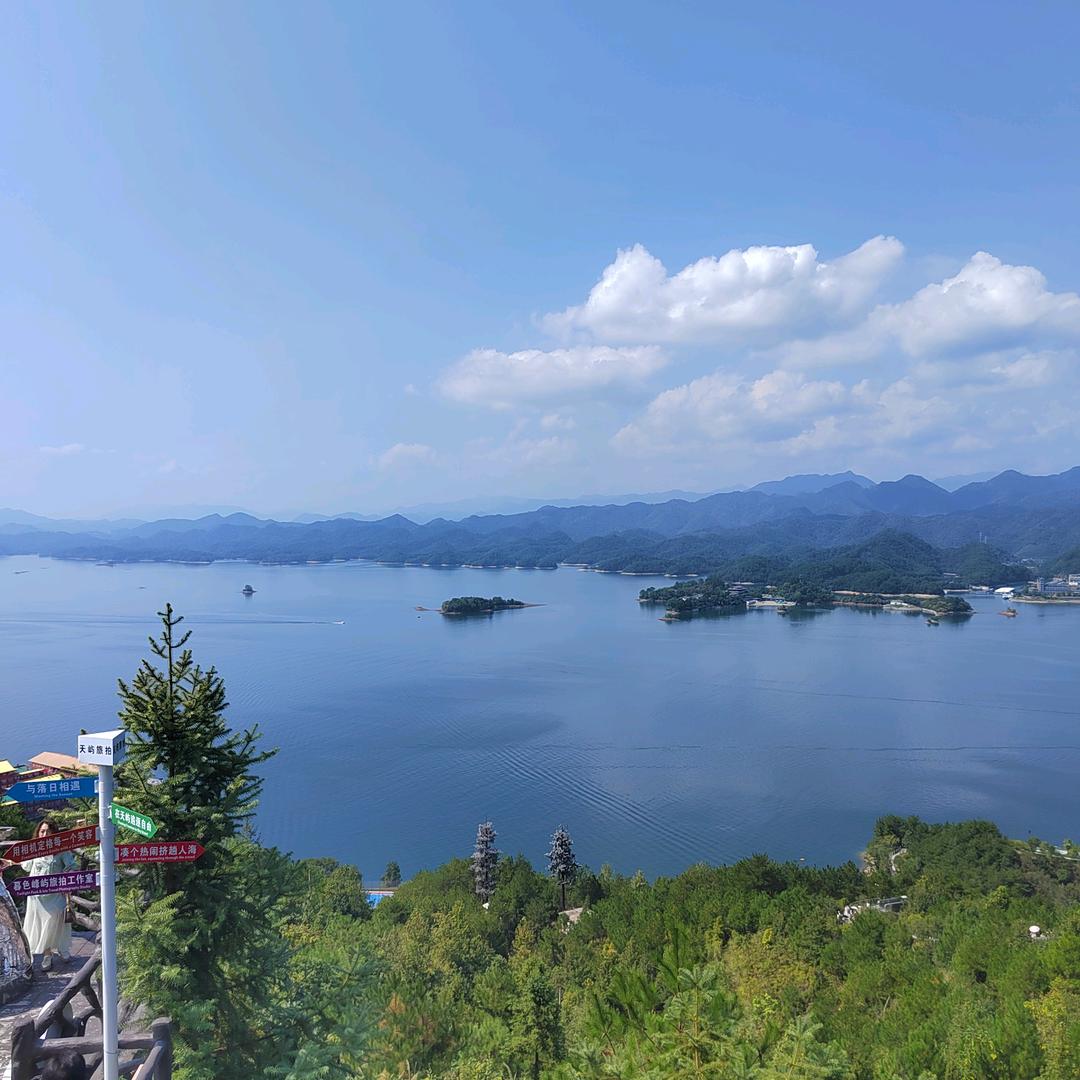 ylp心静如水