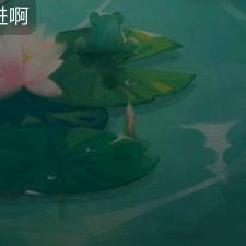 夏阳